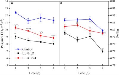 Improving Plant Growth and Alleviating Photosynthetic Inhibition and Oxidative Stress From Low-Light Stress With Exogenous GR24 in Tomato (Solanum lycopersicum L.) Seedlings